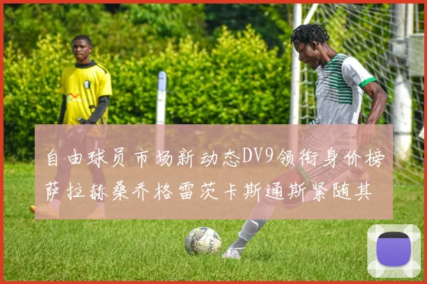 自由球员市场新动态DV9领衔身价榜萨拉赫桑乔格雷茨卡斯通斯紧随其后